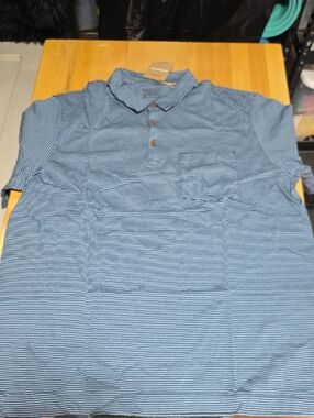 Patagonia Men's Light Blue Micro-Stripe Polo